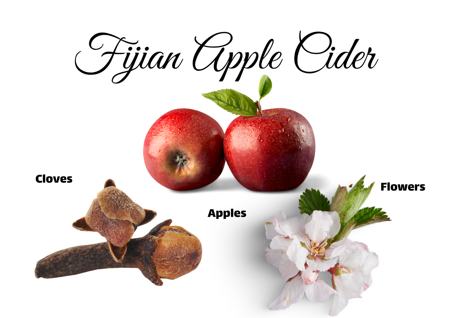 Winter Collection - Fijian Apple Cider Candle