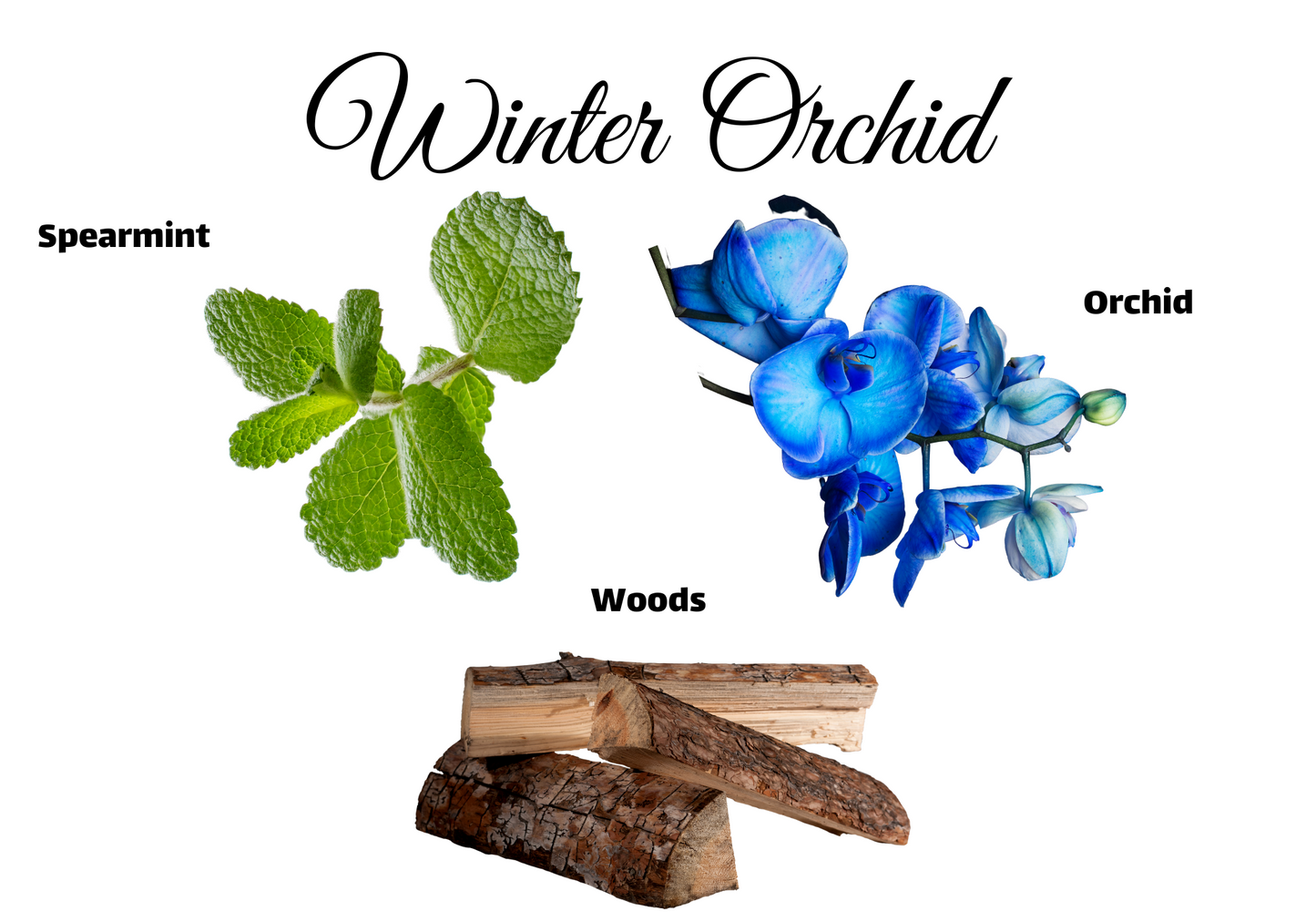 Winter Collection - Winter Orchid Candle