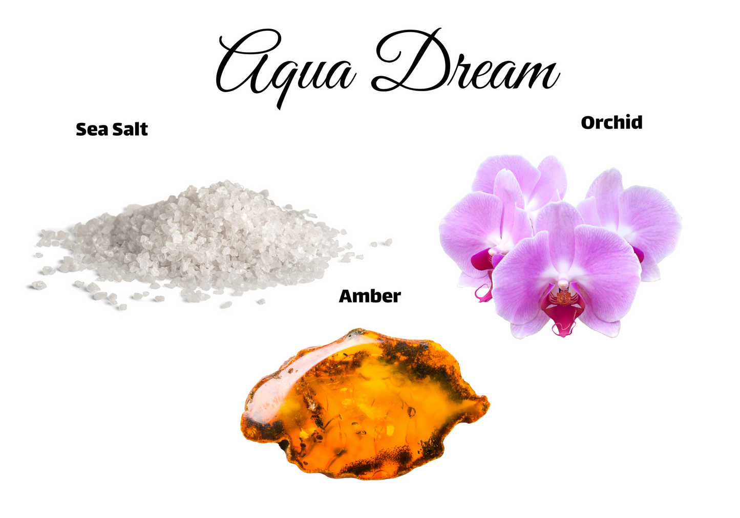 8 oz Concrete Aqua Dream Candle